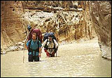 Wading Muddy Creek