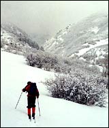 Backcountry Skiing, Art Nord below Snow Basin, Utah