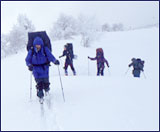 Backcountry Skiing, Strawberry Ridge, Utah