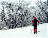 Backcountry Skiing, North Fork Park, Utah